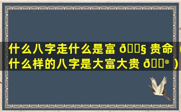 什么八字走什么是富 🐧 贵命（什么样的八字是大富大贵 💮 ）